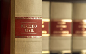 CONSUL - Derecho Civil